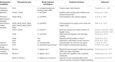 Chemotactic Host-Finding Strategies of Plant Endoparasites and Endophytes